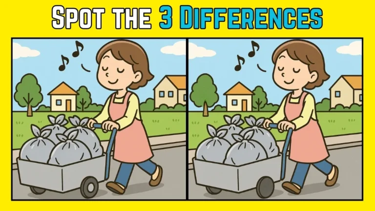 Quick Visual Challenge: Find Three Differences in This Street Vendor Photo Within 8 Secs