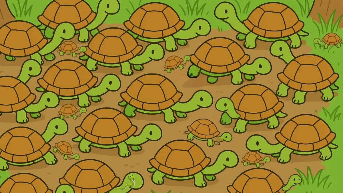 Can You Do It? Find the Hidden Snake Among Turtles in This 5-Second Challenge
